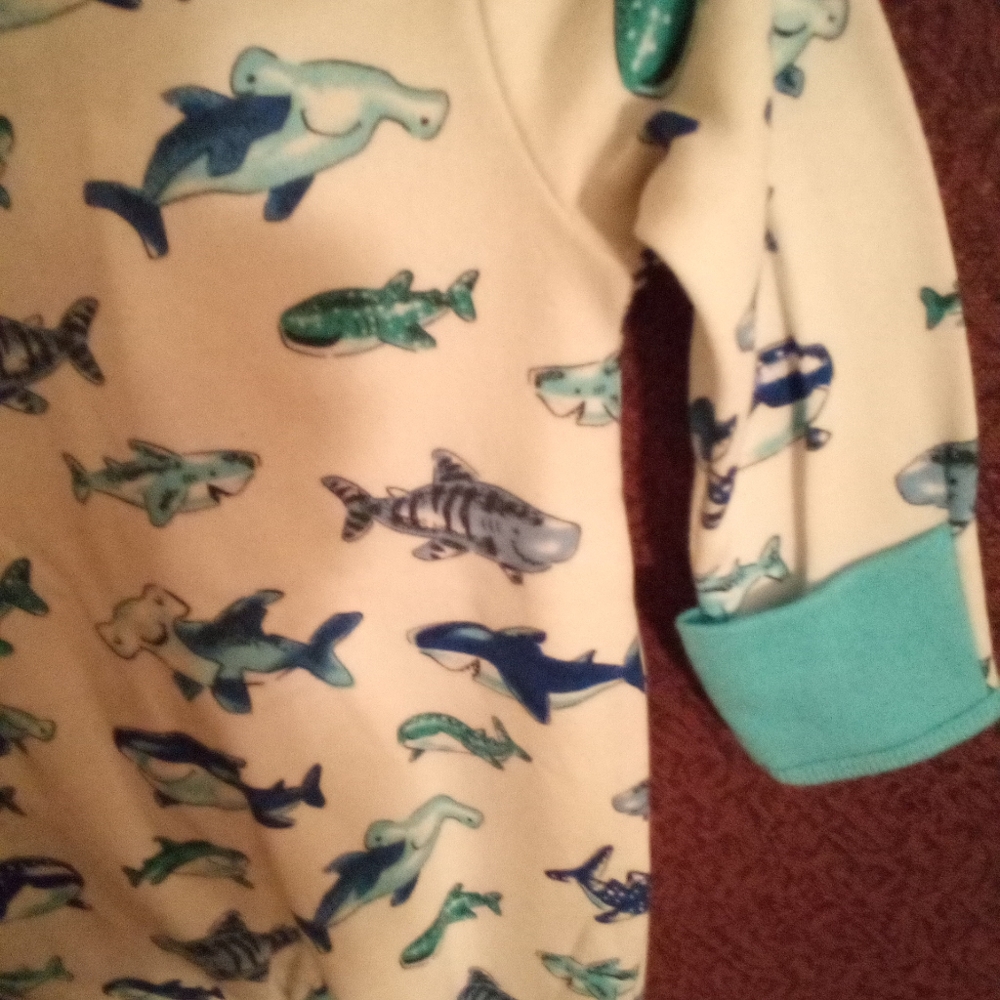 Boy or girl sleep wear or just to wear